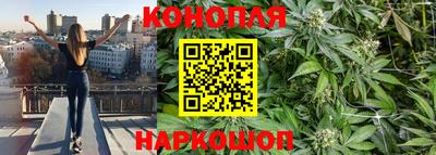 ALPHA PVP Гусев