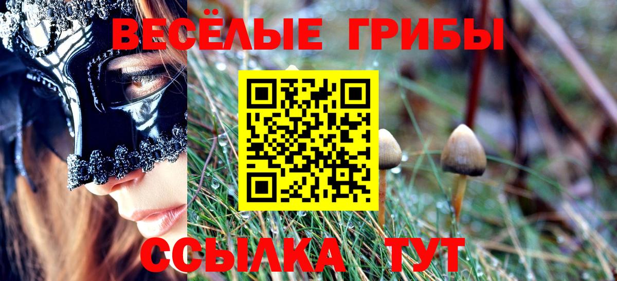 Галлюциногенные грибы GOLDEN TEACHER  Галлюциногенные грибы MAGIC MUSHROOMS  Вход с VPN  Мытищи 