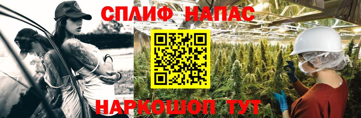 Каннабис MAZAR Мытищи